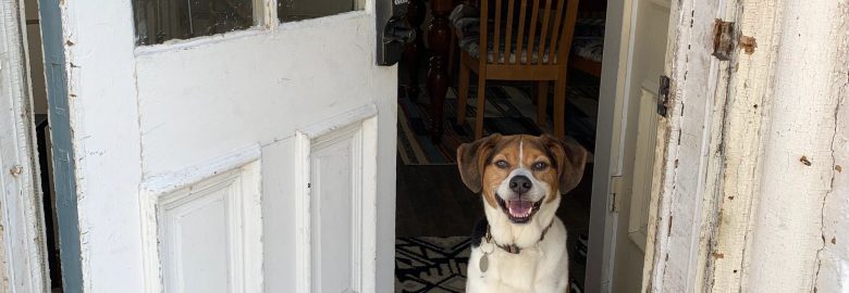 Baconwood Marketing Co