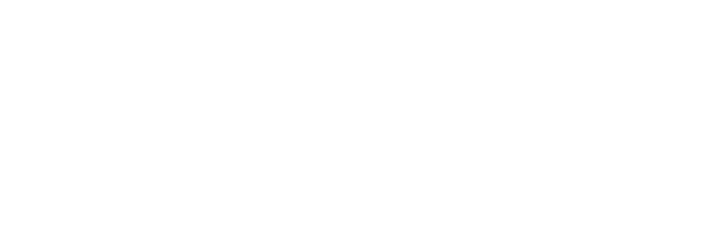 Lighthouse Digital Marketing, LLC