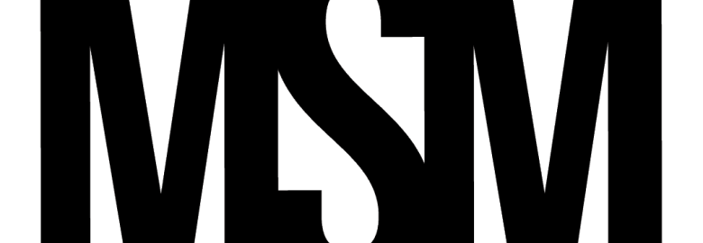 Michael Schmidt Media