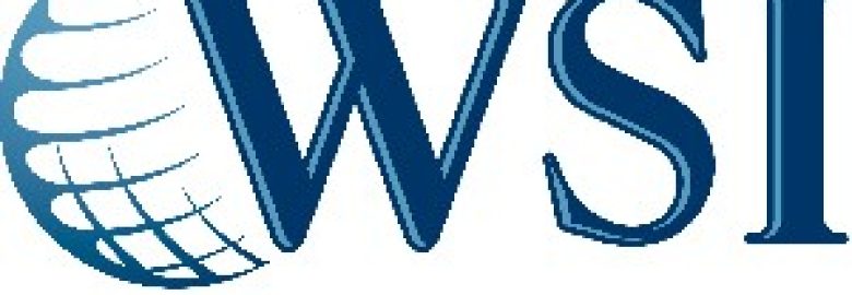 WSI Digital Marketing Agency