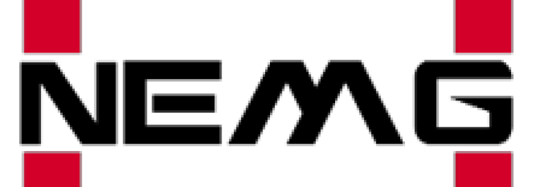 New Edge Media Group