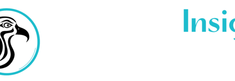 Business Insight Marketing