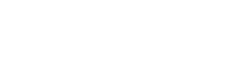 Troncone + Partners Advertising Agency