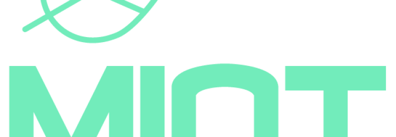 MINT Digital Media Design