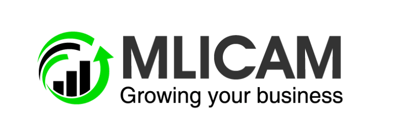 ML Internet Consulting and Marketing