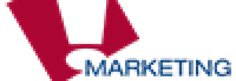 Marketing Strategies Group Inc