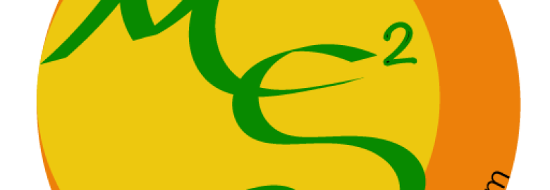 Marin SEO Services