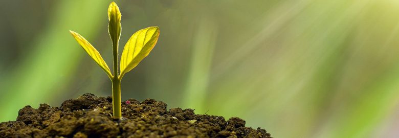 Symphysis Marketing Solutions