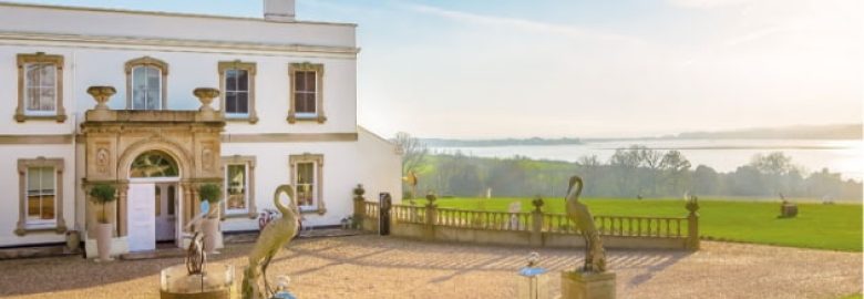 Dirty Martini Marketing