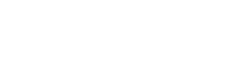 Metro Annex Interactive