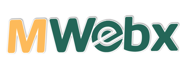 Miami webx | #1Web Design Miami and SEO Services