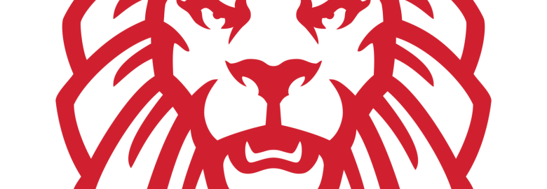 New Lion Media Group