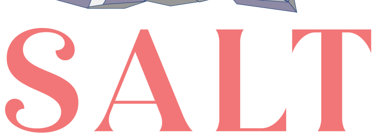 SALT Digital Marketing