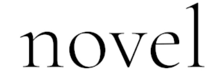 Novel