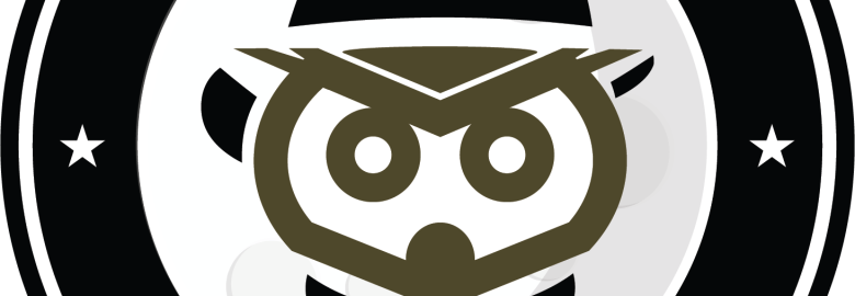 Wise Guys Web Design