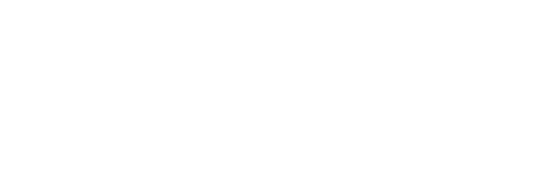 The Polish Agency | Websites, Logos, Consulting, Photo/Video Production, Ad Management, Social Media