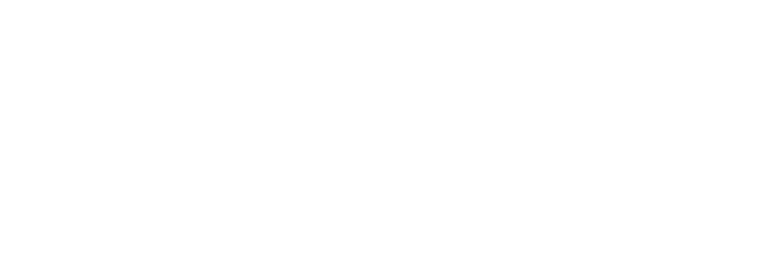 Professional Media Services, Inc.