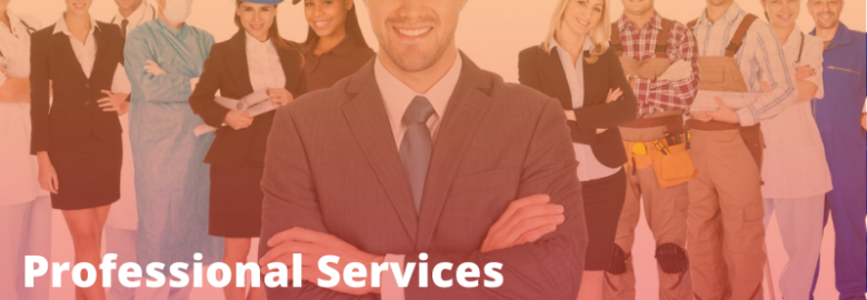 Digital Marketing Netic Agency