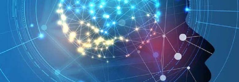 Eland Consulting | SEO & Web Design