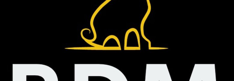 Royal Digital Marketing
