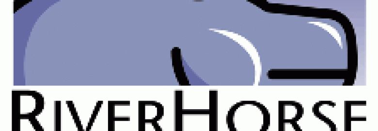 River Horse Digital Marketing Savannah