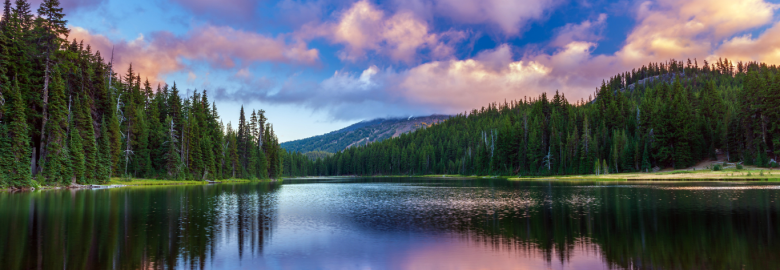 Elevated Horizon Media