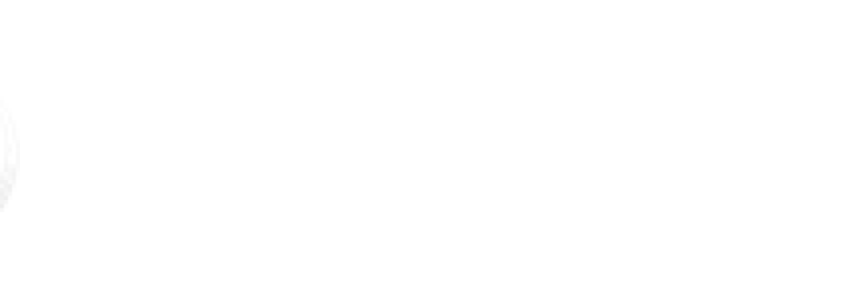 SEO SEM Professionals
