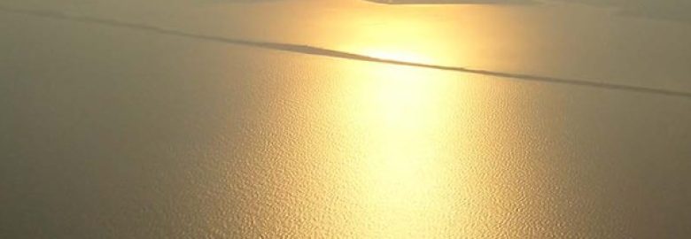 Entity Marketing Consulting