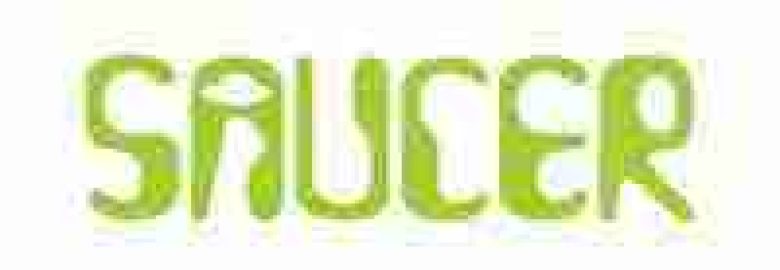 Saucer Advertising, Website Design, SEO