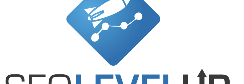 SEOLEVELUP Website Design SEO Company Chicago