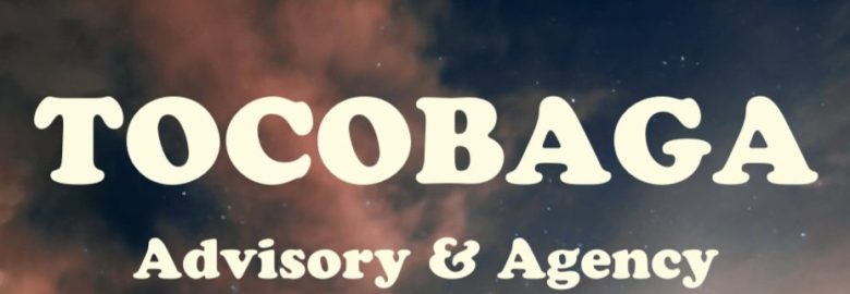 Tocobaga — B2B Integrated Marketing Agency & SMB Advisory