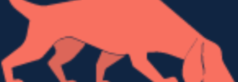 Search Strategy Marketing