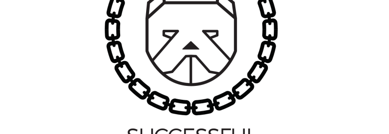 Successful Underdog Marketing