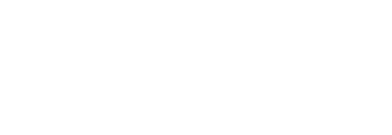 SumoLeap
