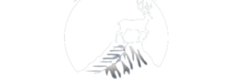 Syracuse Digital Marketing