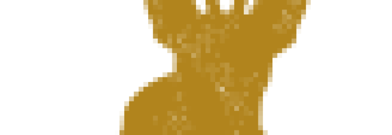 Tin Town