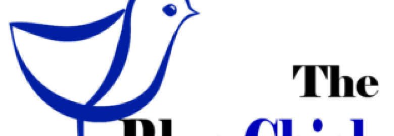 The Blue Chick Digital Marketing