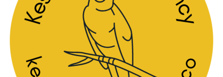 Kestrel Digital Agency