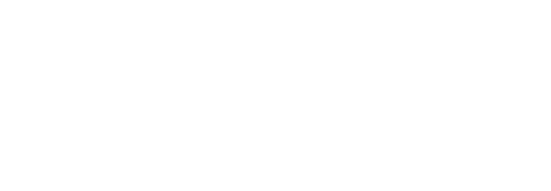 Loyalty Digital Agency