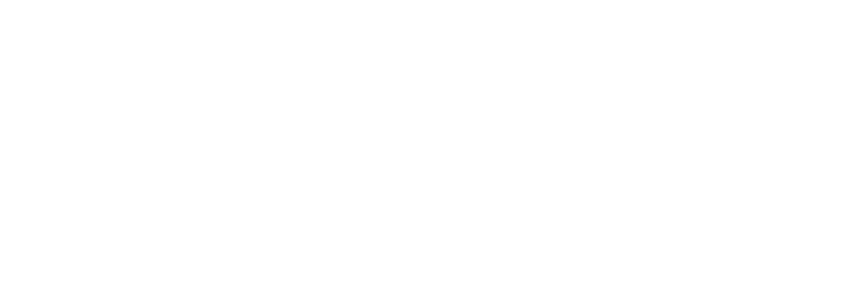 MnM Consulting Inc