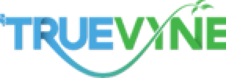 TrueVyne Marketing & HubSpot Solutions