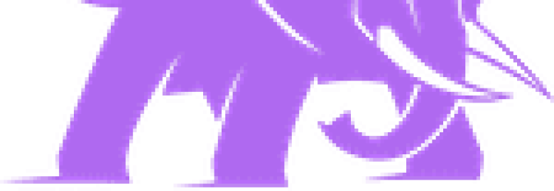 Trueba Media LLC | Digital Marketing Agency