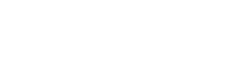 Tylerica Marketing Systems
