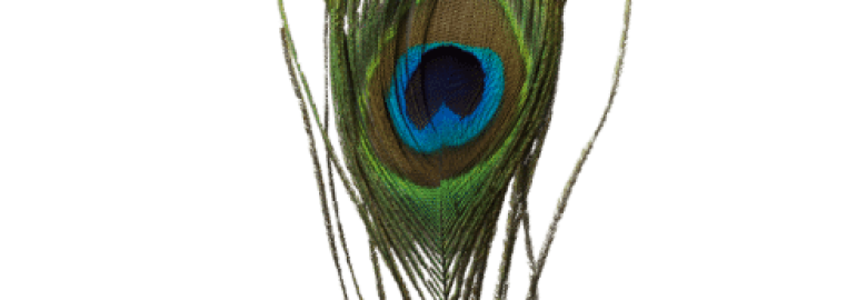 Peacock Business Solutions