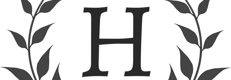 Hoagy Marketing SEO