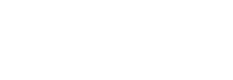 Vizinow Digital Solutions