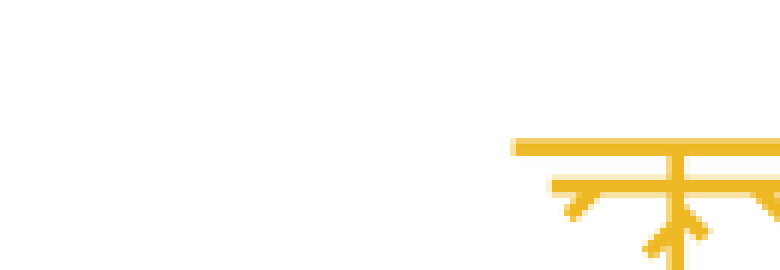 Whole Brand Agency