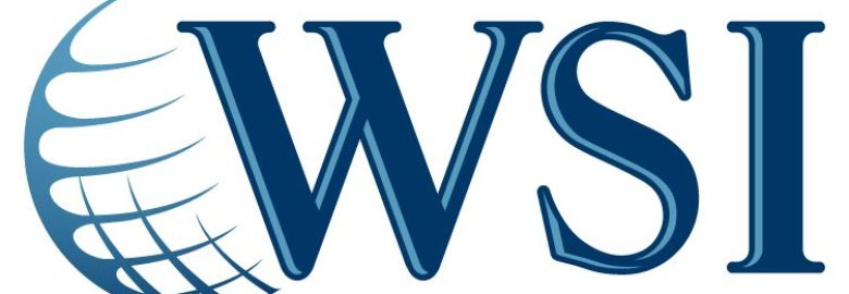 WSI Digital Drive