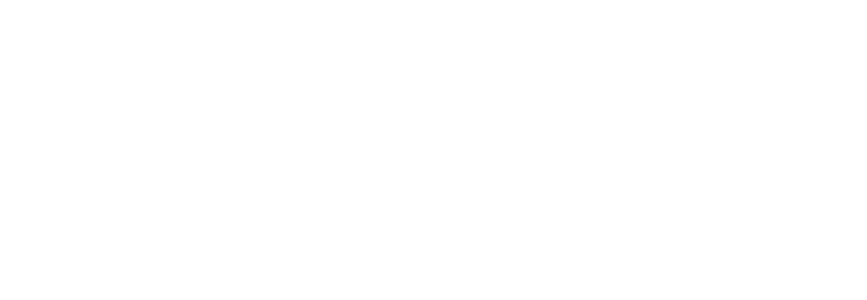 Waller Marketing Agency