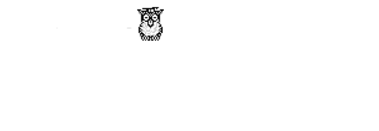 WebWise Design & Marketing